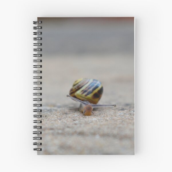 Item preview, Snorp the snail designed and sold by Lauren Shawyer.