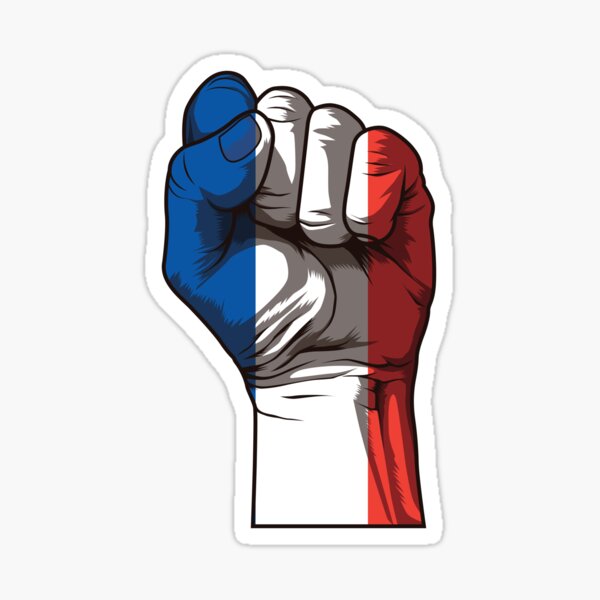 3D Autocollant France Libre Résistance Flag Sticker Drapeau de Gaulle  Français