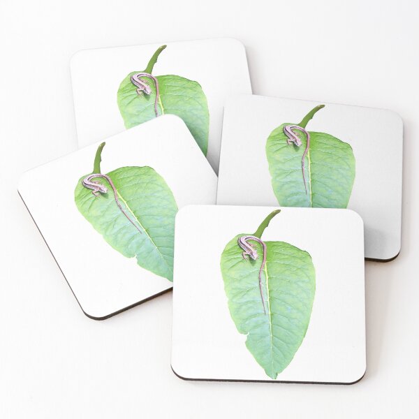 Item preview, Japanese Grass Lizard on a leaf designed and sold by kswild.