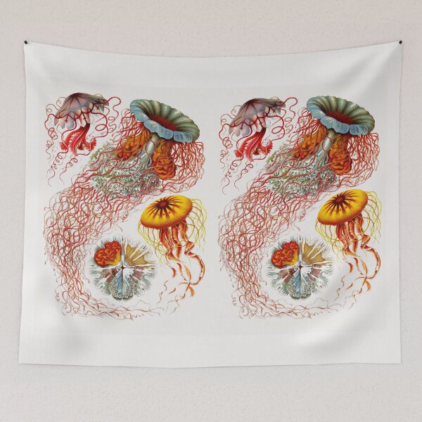 Item preview, Plate 08. Discomedusae, a group of disc-shaped jellyfish. designed and sold by Squirrox.