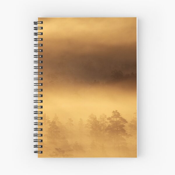 Item preview, 14.8.2015: Summer Morning in Torronsuo National Park I designed and sold by Petri Volanen.