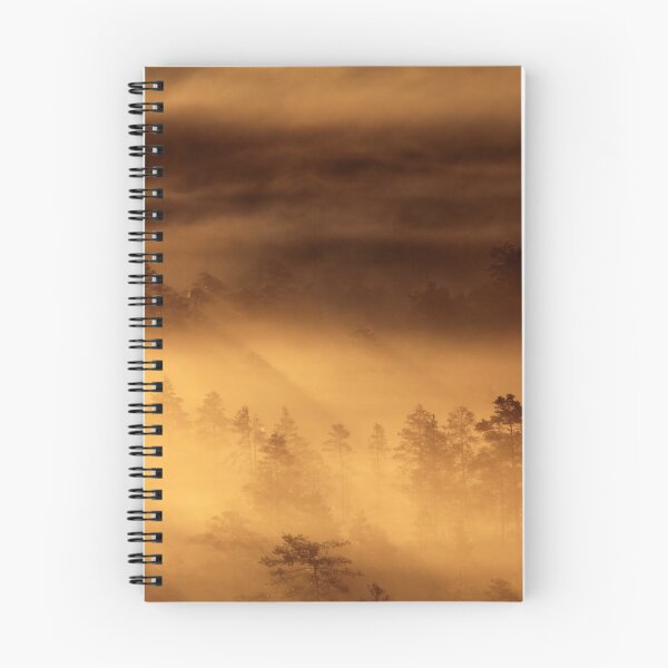 Item preview, 14.8.2015: Summer Morning in Torronsuo National Park III designed and sold by Petri Volanen.