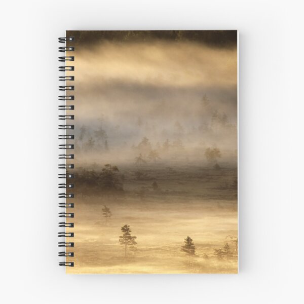Item preview, 14.8.2015: Summer Morning in Torronsuo National Park IV designed and sold by Petri Volanen.
