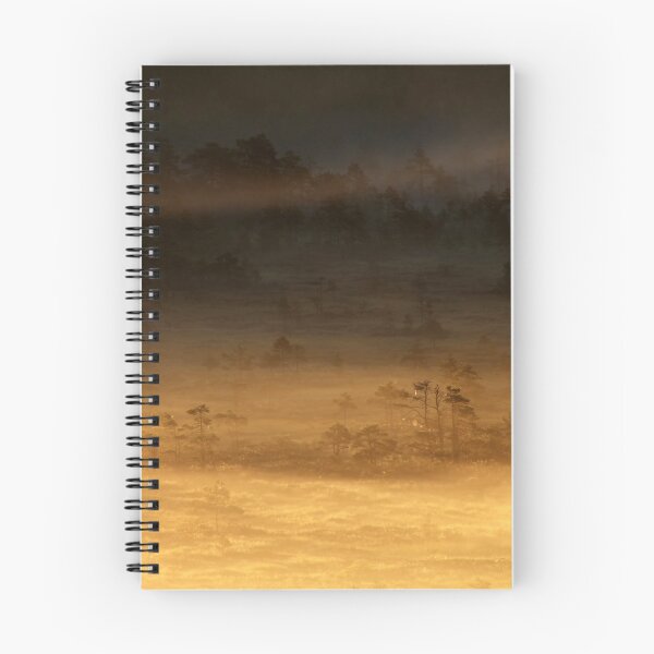 Item preview, 14.8.2015: Summer Morning in Torronsuo National Park V designed and sold by Petri Volanen.