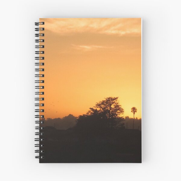 Item preview, A Palm Sunset designed and sold by brunoanjoloart.