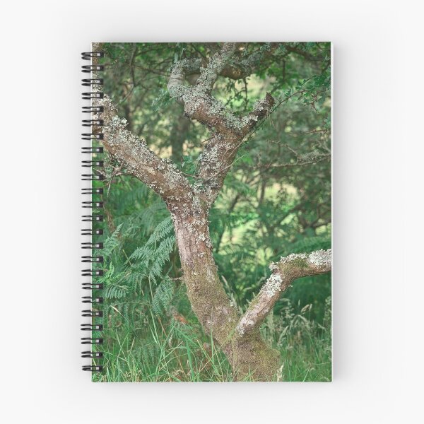 Item preview, Hawthorn designed and sold by ShinyPhoto.