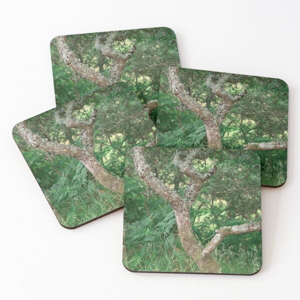 Item preview, Hawthorn designed and sold by ShinyPhoto.