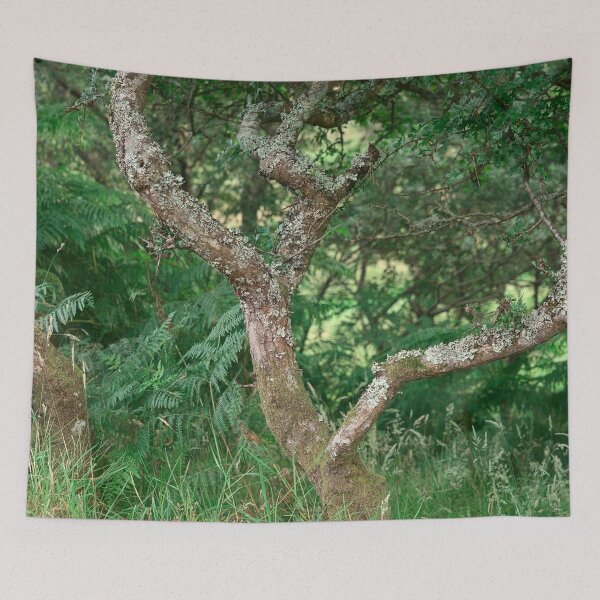 Item preview, Hawthorn designed and sold by ShinyPhoto.