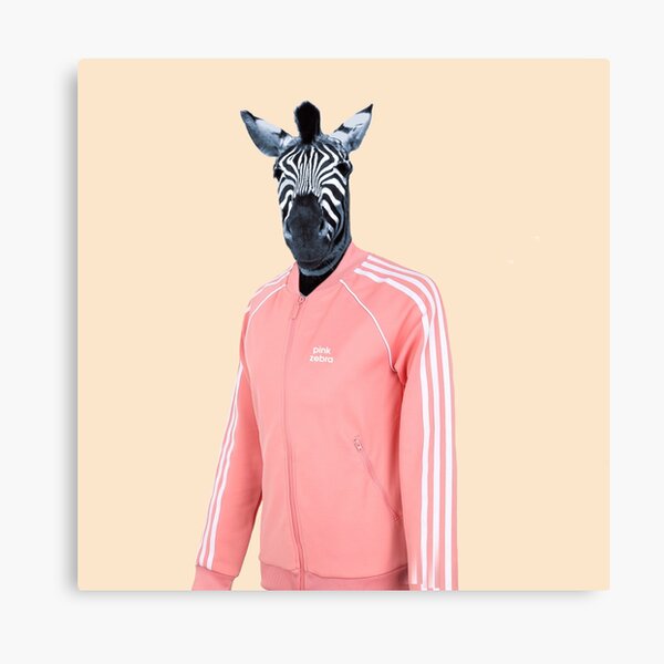 Pink zebra Canvas Print
