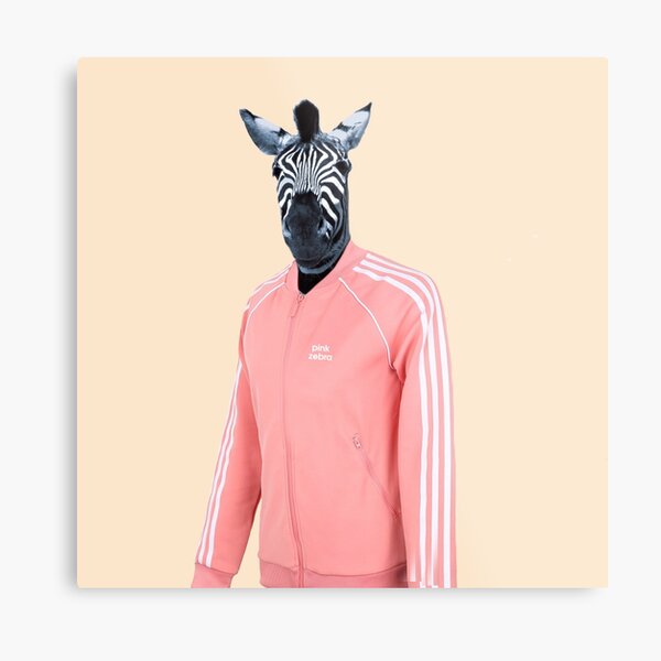 Pink zebra Metal Print