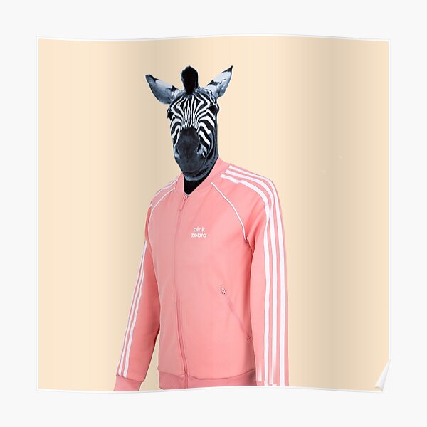 Pink zebra Poster