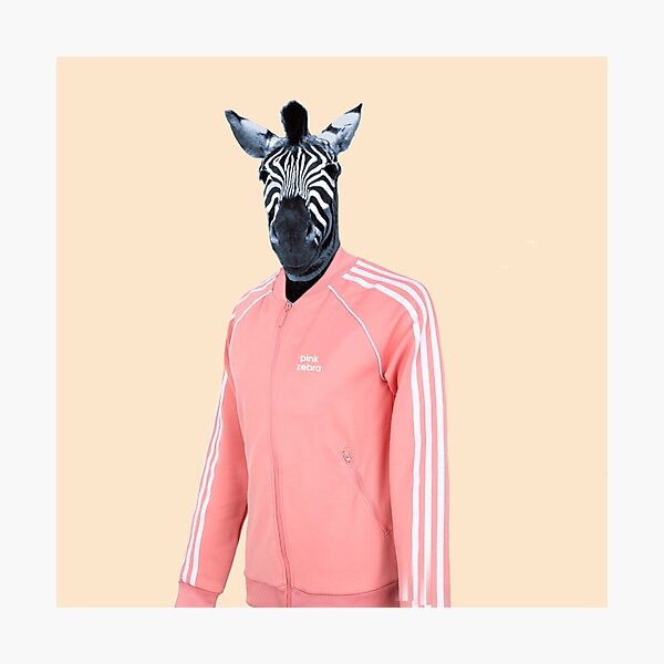 Pink zebra Photographic Print