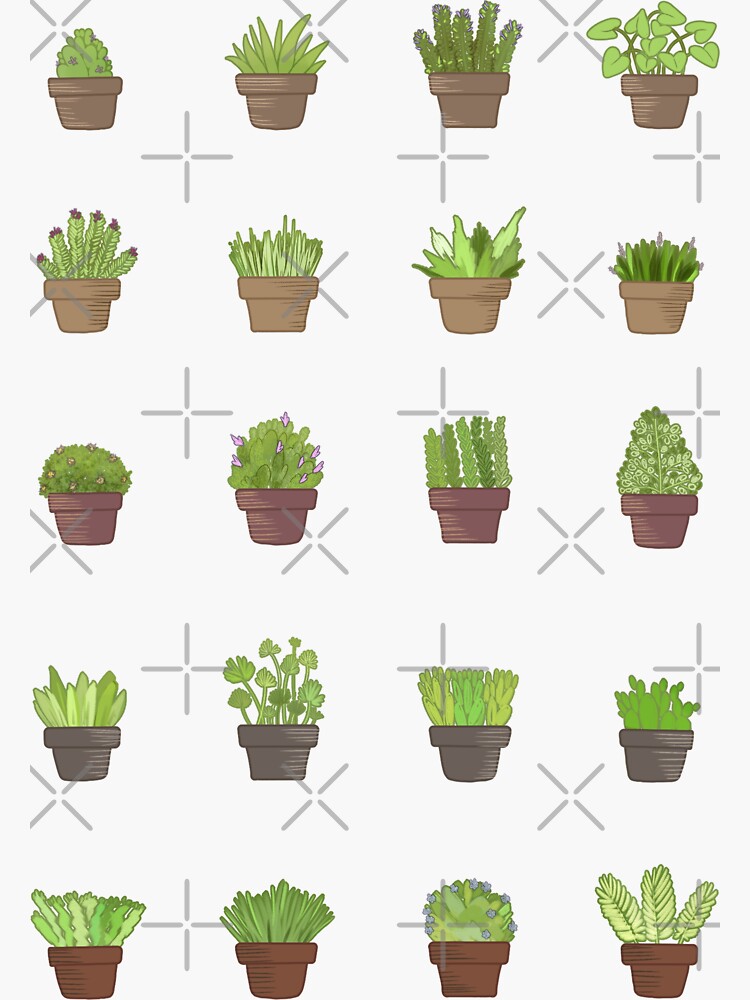 Potted Greens by Chorvaqueen