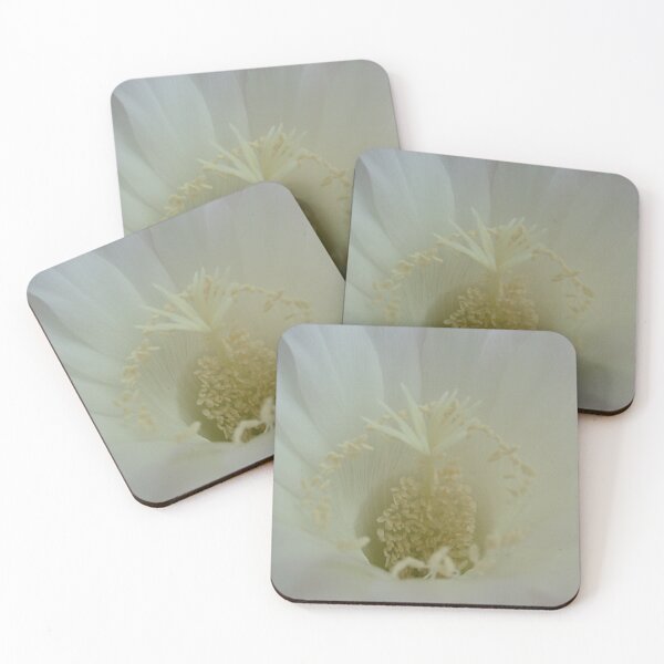 Item preview, Cactus flower designed and sold by Ana Belaj.