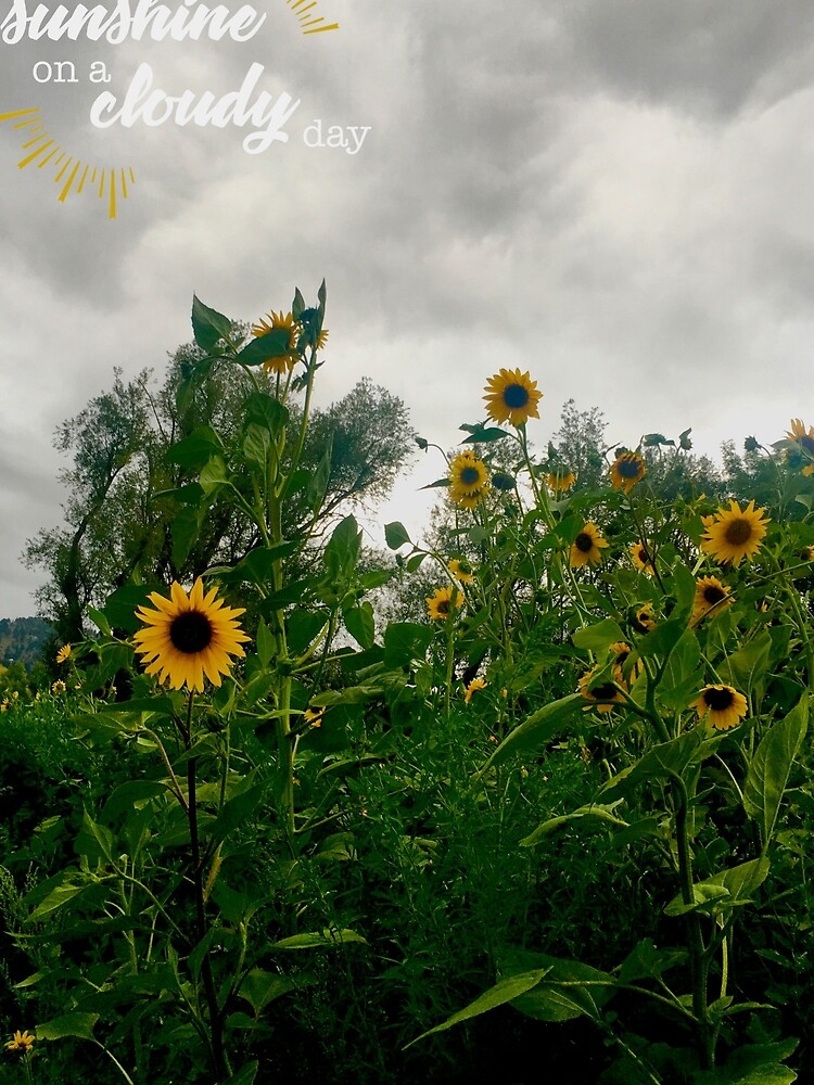 Sunshine On a Cloudy Day by donnaroderick