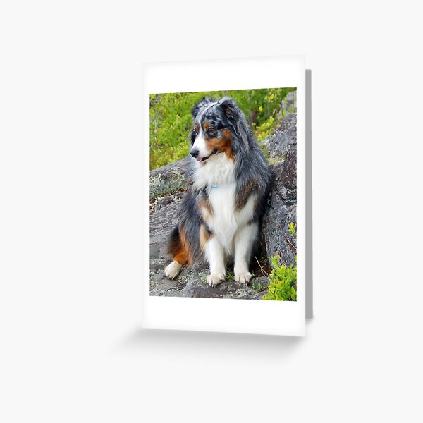 Plava protecting her Kin Greeting Card