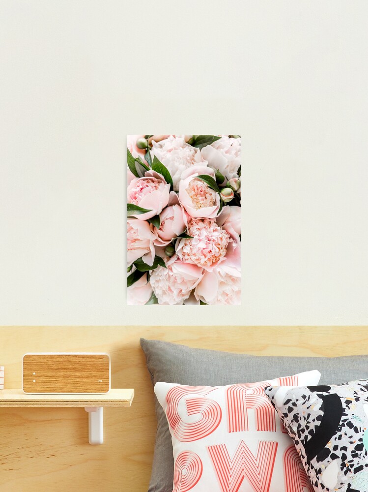 Peony pink flowers, Peonies, Modern art, Wall art, Pale pink, Scandinavian  print Photographic Print for Sale by Digital Cloud