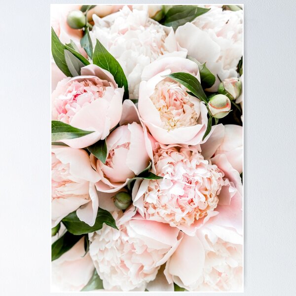 Stickers Muraux Pivoines Florales, Bouquet De Roses Pivoine Bleu