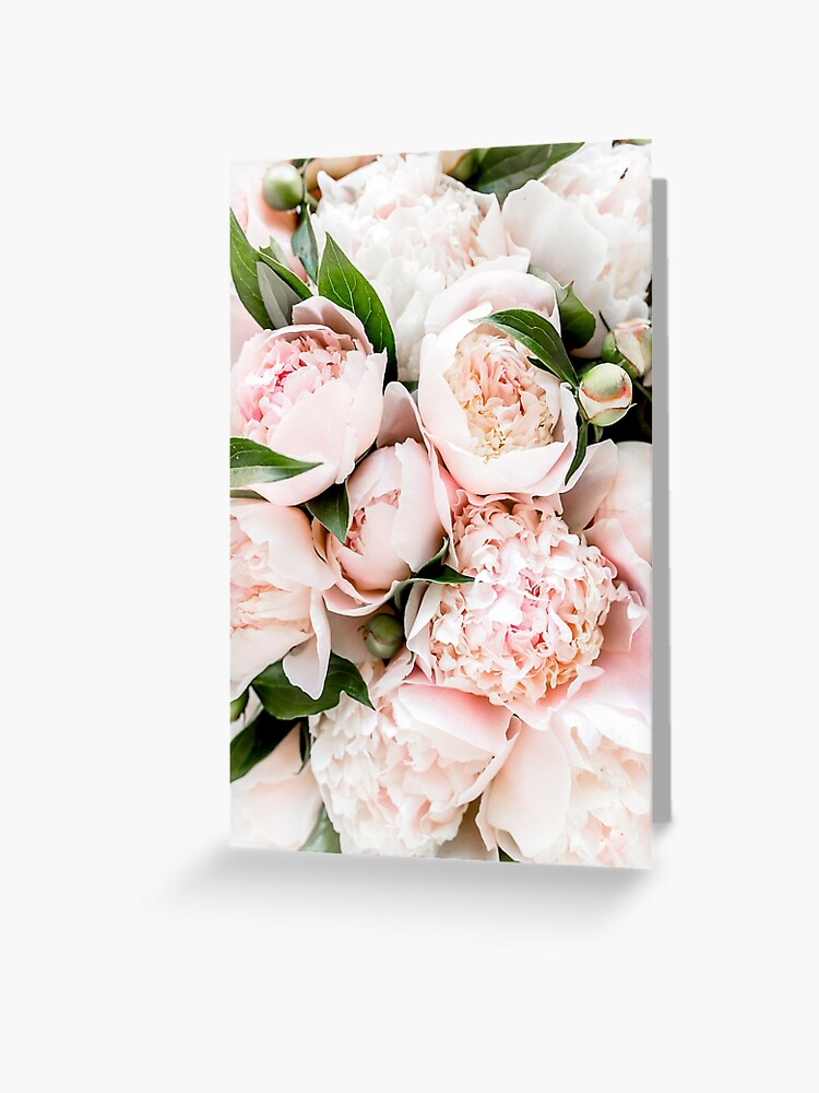 Tarjetas de felicitación «Flores de peonía rosa, peonías, arte moderno,  arte de la pared, rosa pálido, impresión escandinava» de nth4ka | Redbubble