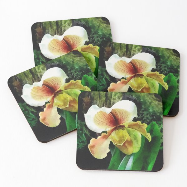 Item preview,  Paph Hellas Westonbirt Orchid designed and sold by Susan Savad.