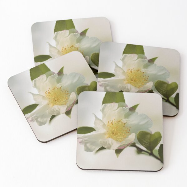 Item preview, Whisper White Camellia designed and sold by imaginethis.