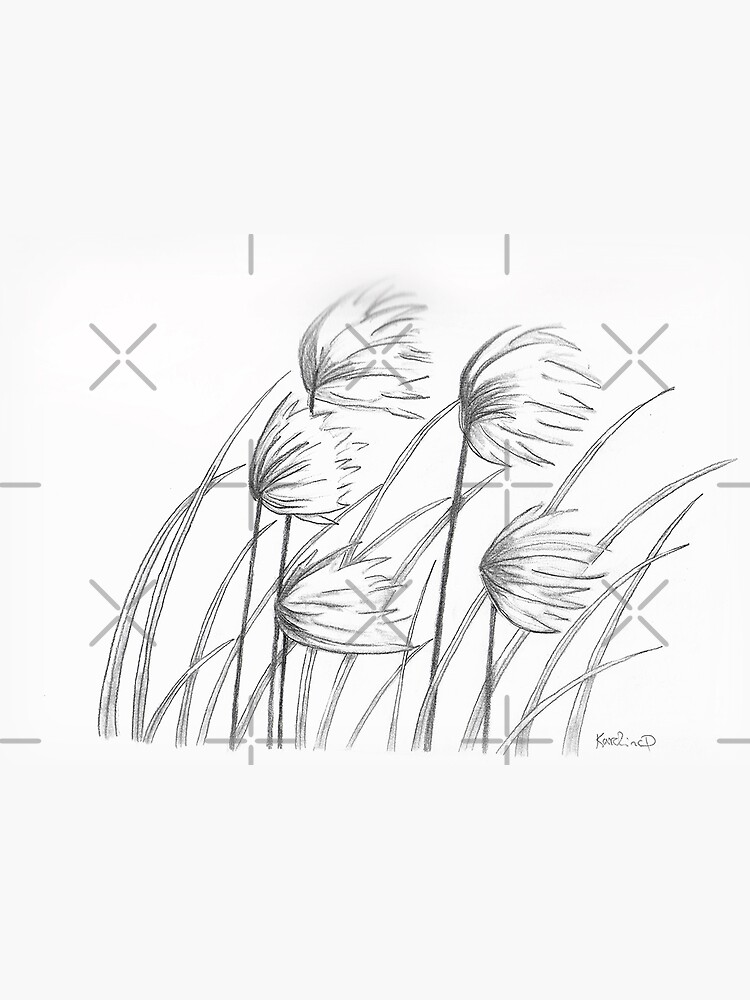 Wild Herb Branch Pencil Drawing Stock Illustration - Download Image Now -  Art, Backgrounds, Beauty - iStock