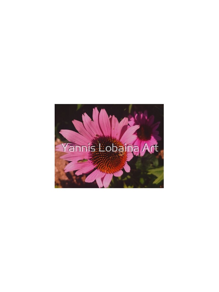 Alive Flower By Yannis Lobaina by lobaina1979