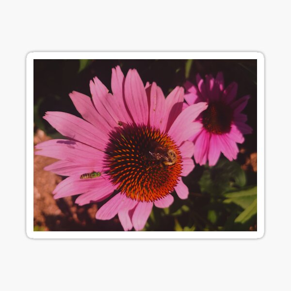 Alive Flower By Yannis Lobaina Sticker