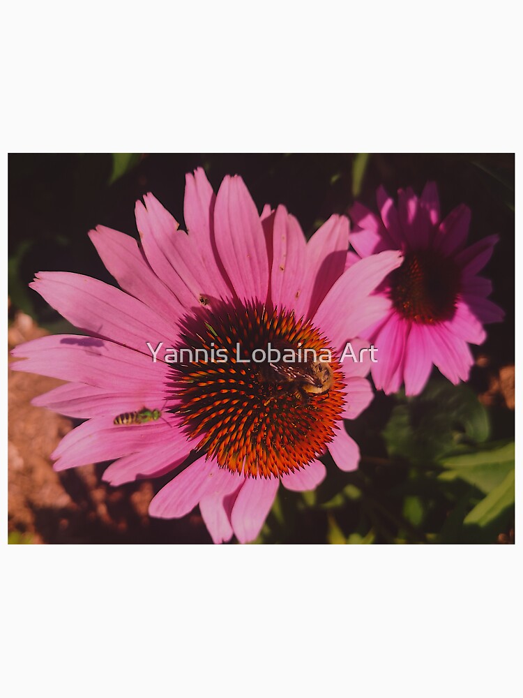 Alive Flower By Yannis Lobaina by lobaina1979