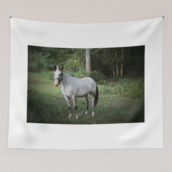 Item preview, Hello Cortez The Unicorn designed and sold by neldamays.