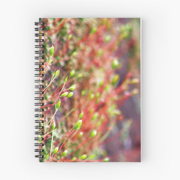 Item preview, ©NS Small Forest IIA. designed and sold by OmarHernandez.