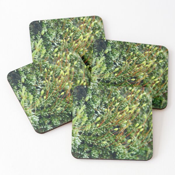 Item preview, ©NS Small Forest IIIA. designed and sold by OmarHernandez.