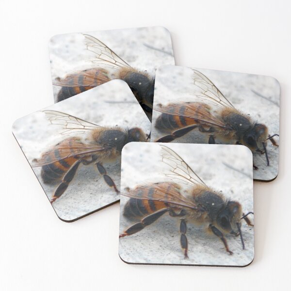 Item preview, ©NS The Second Bee IA. designed and sold by OmarHernandez.