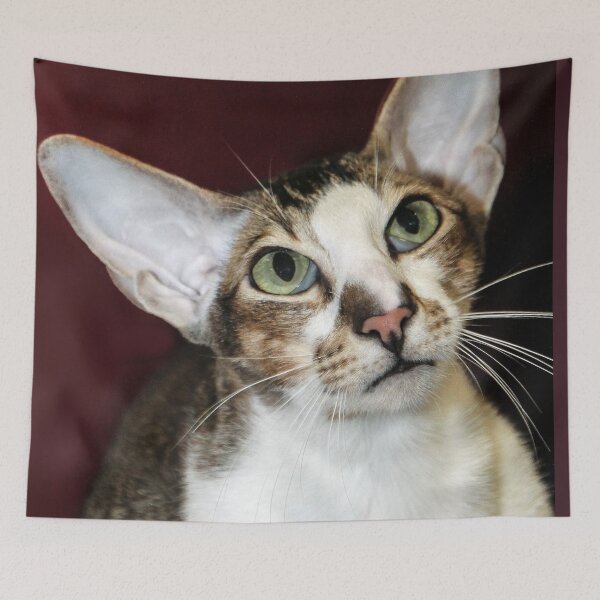 Item preview, Big Ears and Green Eyes designed and sold by heatherfriedman.