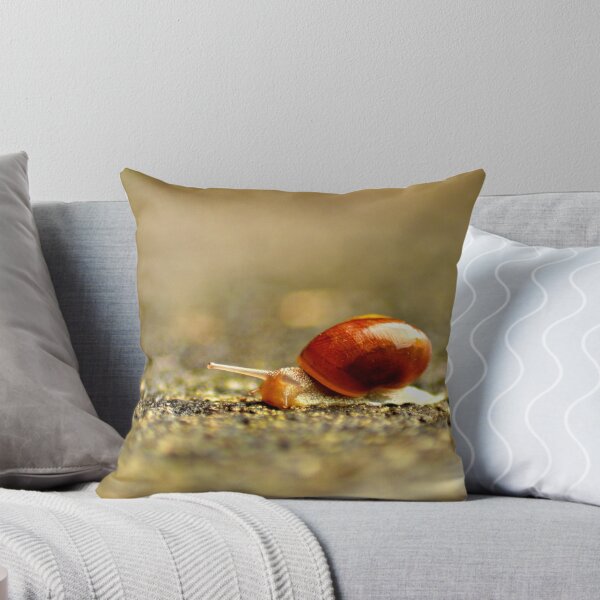 Item preview, Snail Trail  designed and sold by David Michael Booth.