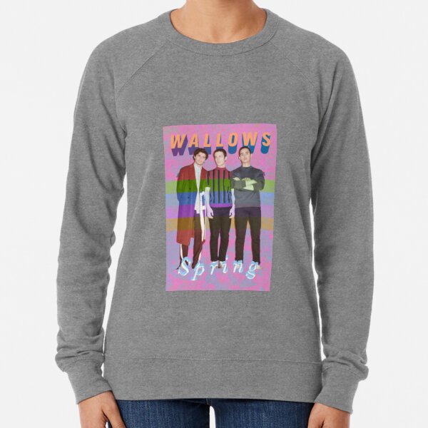 wallows purple sweatshirt