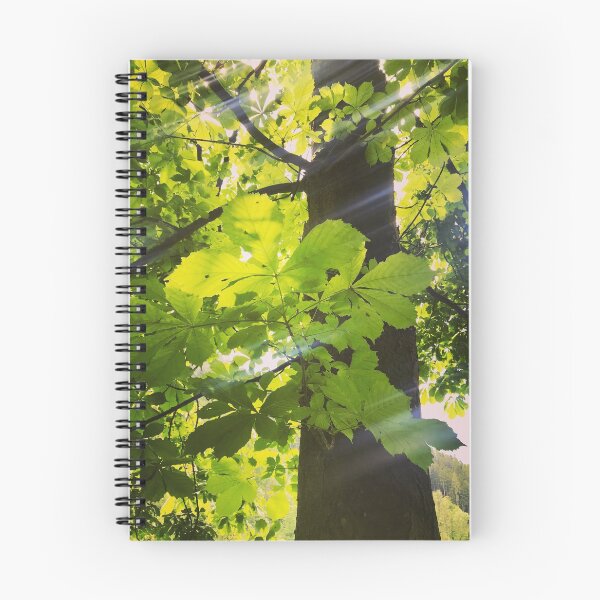 Item preview, Rays of Sunshine through Leaves of a Tree designed and sold by Christine  Wilson Photos.