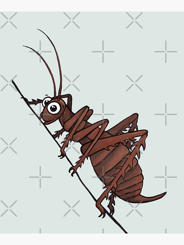 Cute NZ Weta - clock ft. Te Reo Maori numbers by AdrienneBody