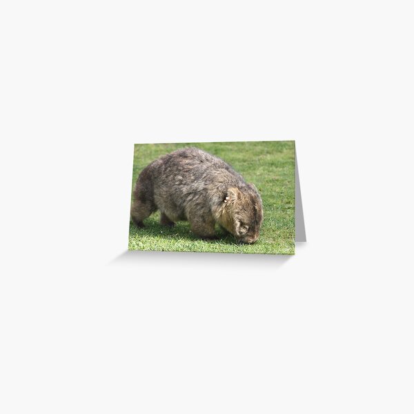 Item preview, Grazing wombat designed and sold by Glen Sheppard.