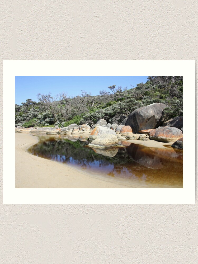 Thumbnail 1 of 3, Art Print, Rock reflections in Tidal River designed and sold by shep34.
