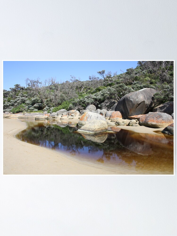 Thumbnail 2 of 3, Poster, Rock reflections in Tidal River designed and sold by shep34.