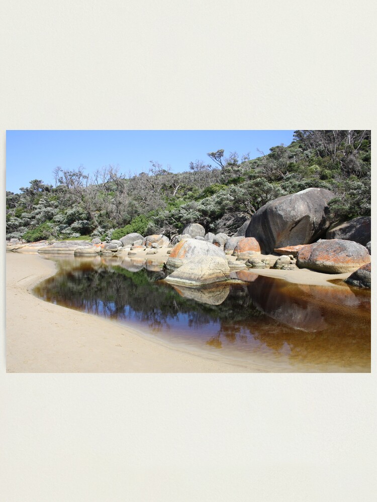 Thumbnail 2 of 3, Photographic Print, Rock reflections in Tidal River designed and sold by shep34.