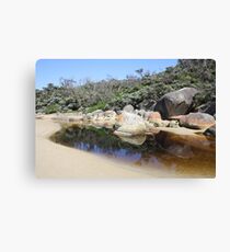 Rock reflections in Tidal River Canvas Print