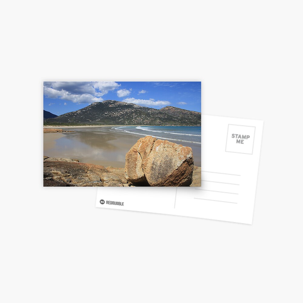 Item preview, Postcard designed and sold by shep34.