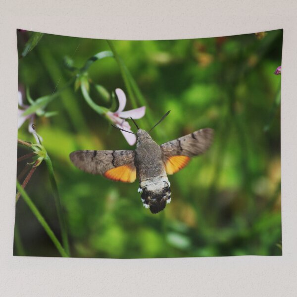Item preview, Hummingbird Hawkmoth designed and sold by FrauleinimStall.