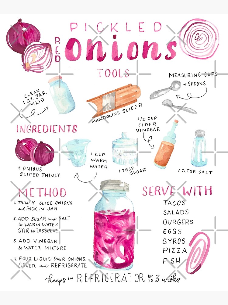 Pickled Onions Illustrated Recipe by annieparsons