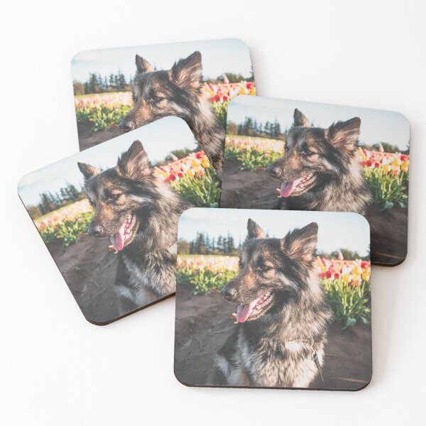 Item preview, Bailey at the Tulip Farm designed and sold by hawkshavenphoto.