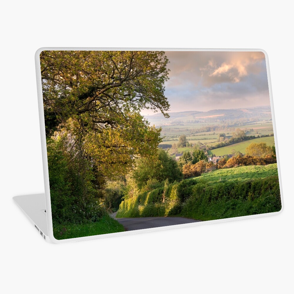 Item preview, Laptop Skin designed and sold by andrewroland.