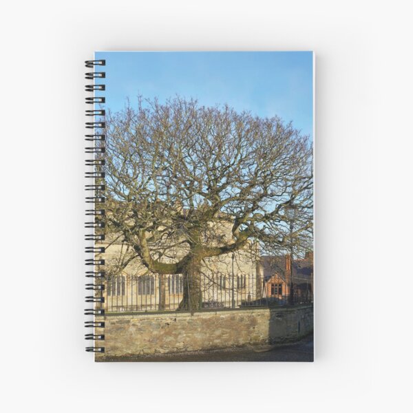 Walls of Derry - tree Spiral Notebook