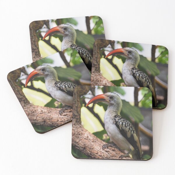 Item preview, African Hornbill  designed and sold by Tzarina-Tea.